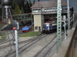 HERBSTAUSSTELLUNG 2012