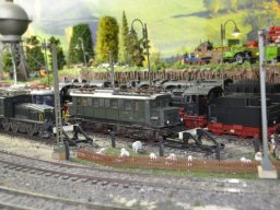 HERBSTAUSSTELLUNG 2012