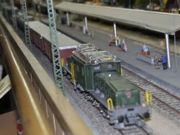 HERBSTAUSSTELLUNG 2012