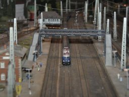 Herbstausstellung 2012