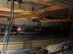 Herbstausstellung 2012