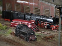 Herbstausstellung 2012