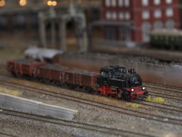 Herbstausstellung 2012