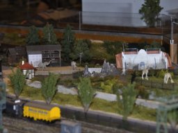 Herbstausstellung 2012