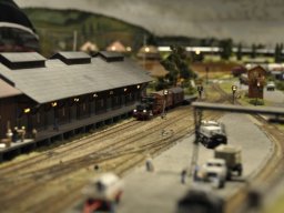 Herbstausstellung 2012