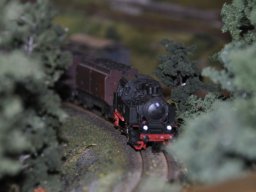 Herbstausstellung 2012