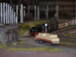 Herbstausstellung 2012