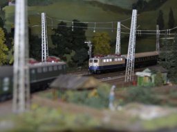 Herbstausstellung 2012