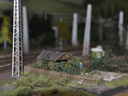 Herbstausstellung 2012