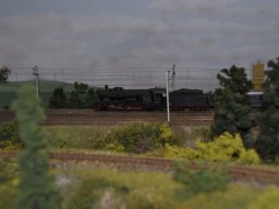 Herbstausstellung 2012