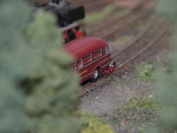 Herbstausstellung 2012